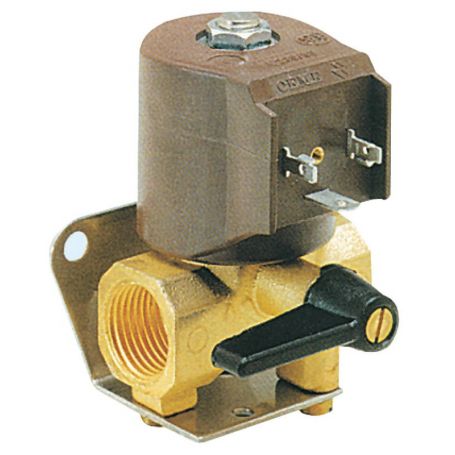 Fuel electric valve