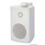 Coppia casse stereo a 2 vie serie CABINET per esterno/ interno