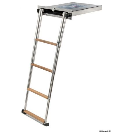Top Line retractable ladder