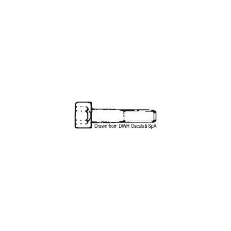 Cylindrical head screws with hexagonal socket, UNI 5931 DIN 912.