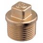 1" BRASS MALE PLUG