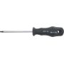 CACCIAVITE TORX TX20 L.100