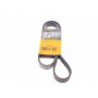 YANMAR BELT 12879077580