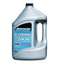 Olio Quicksilver 4T  EB-EFB da 1 lt