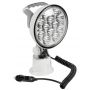Adjustable LED Moonlight depth spotlight.