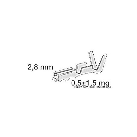 Innesto femmina in ottone