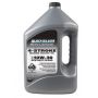 QuickSilver synthetic oil 10W30 Fb 4T  4 litres