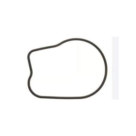 GUARNIZIONE COPERCHIO POMPA ACQUA - BF25,BF30, BF40
