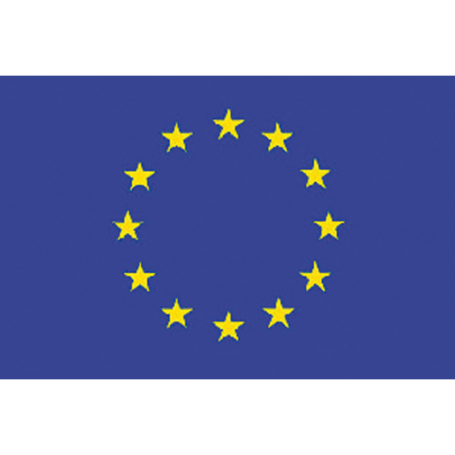 European flag  40 x 60 cm