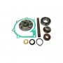 Kit revisione pompa acqua Volvo Penta 876794