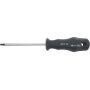 CACCIAVITE TORX TX25 L.100