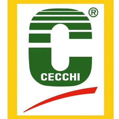 Cecchi logo mb-3