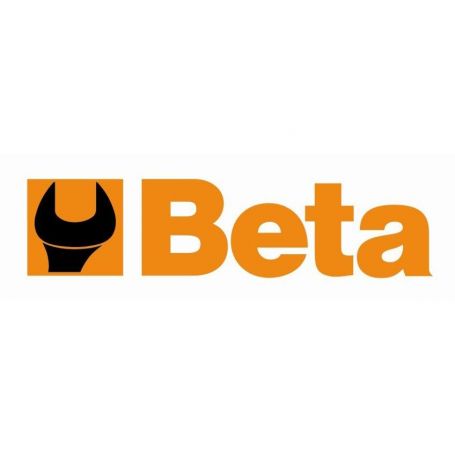 Beta logo mb-3