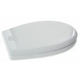 PLASTIC SPARE CAP FOR TOILET