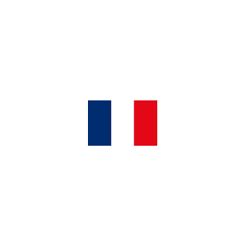 FRANCE FLAG cm. 30 X 45