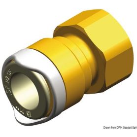 Adattatore WHALE da 1/2" BSP femmina (ottone)