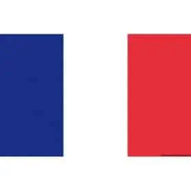Bandiera - Francia