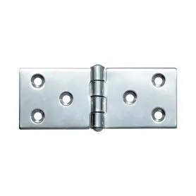 Cerniera inox aisi 316 mm. 100 x 40 x 2