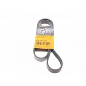 YANMAR BELT 12879077580