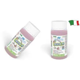 DECH 10 - ELIMINA RUGGINE DA PVC,NEOPRENE,VTR da 250ml