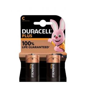 Pila Duracell Plus100 Torcia blister da 2 pz