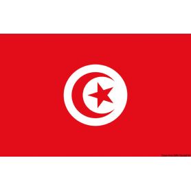 Flag - Tunisia