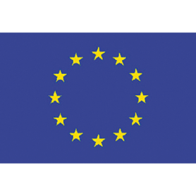 European flag  40 x 60 cm