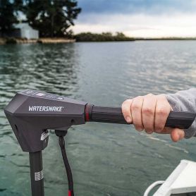 WATERSNAKE ENGINE PRIME BRUSHKESS 55 36 12V