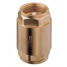 Check valve with brass spring 1"1-2"