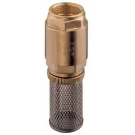 STAINLESS STEEL FILTER x 1" CHECK VALVE.